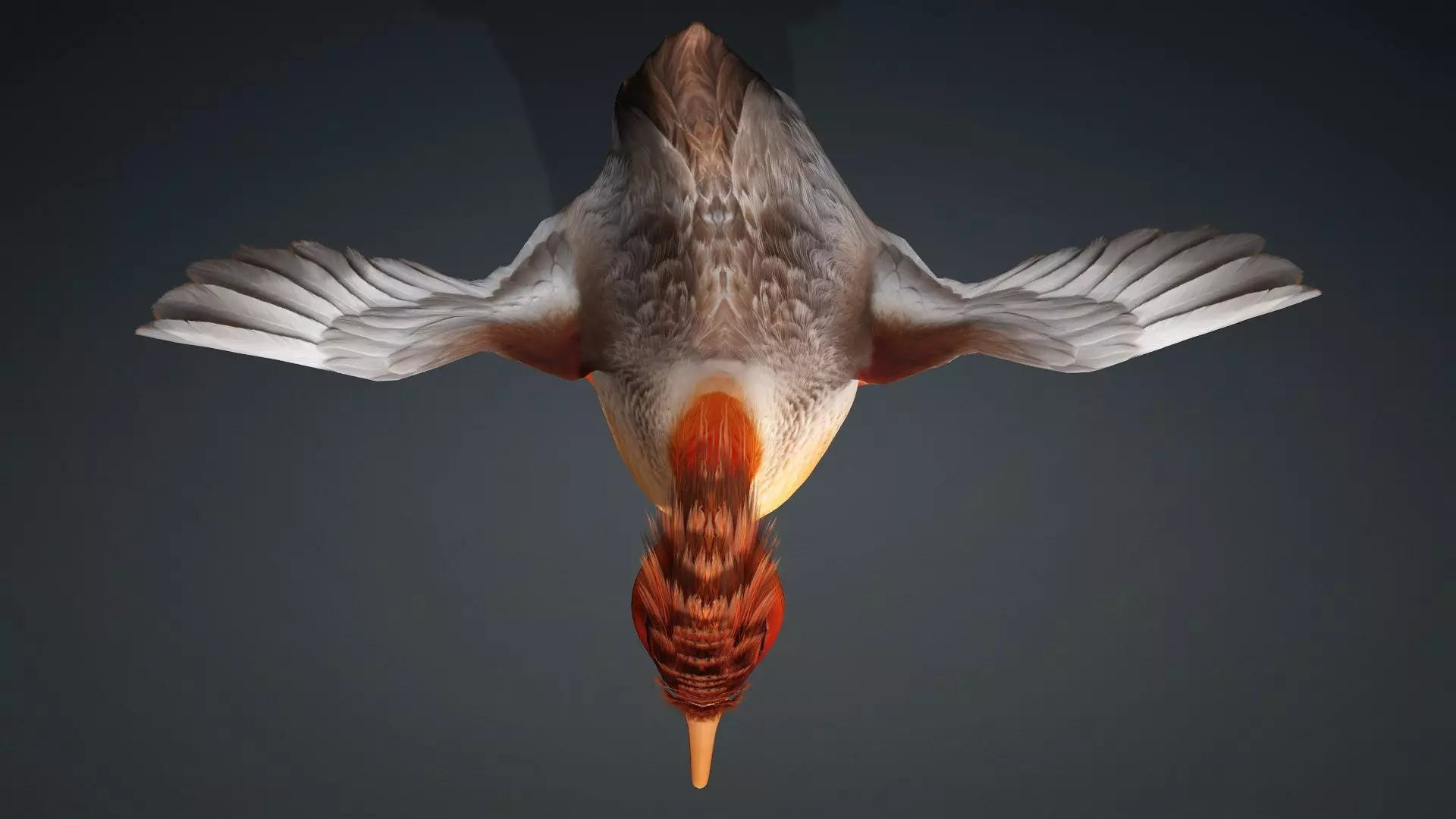 Duck-B4 3D model_12