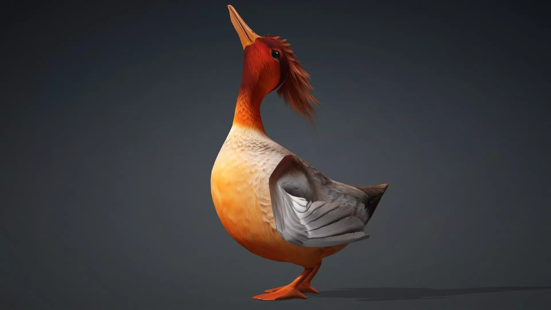 Duck-B4 3D model_4