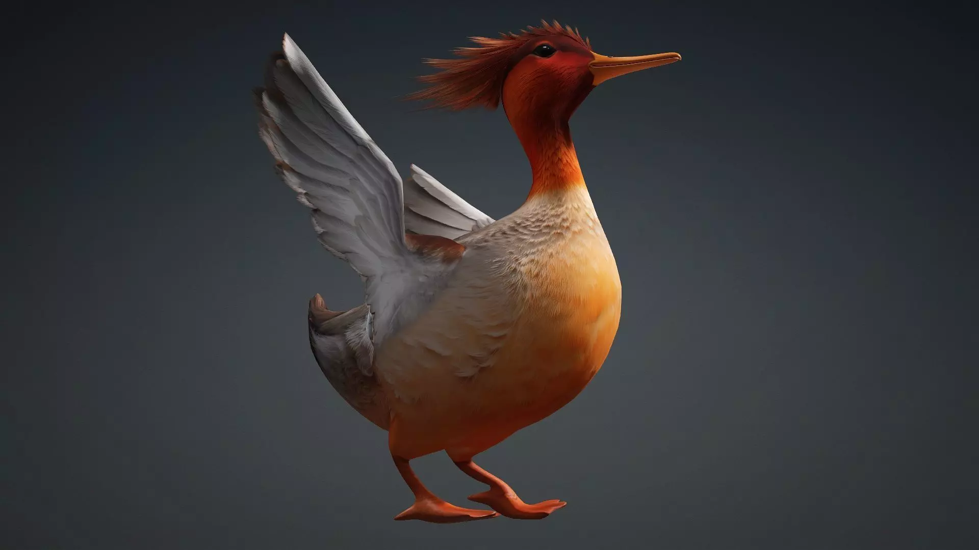 Duck-B4 3D model_7