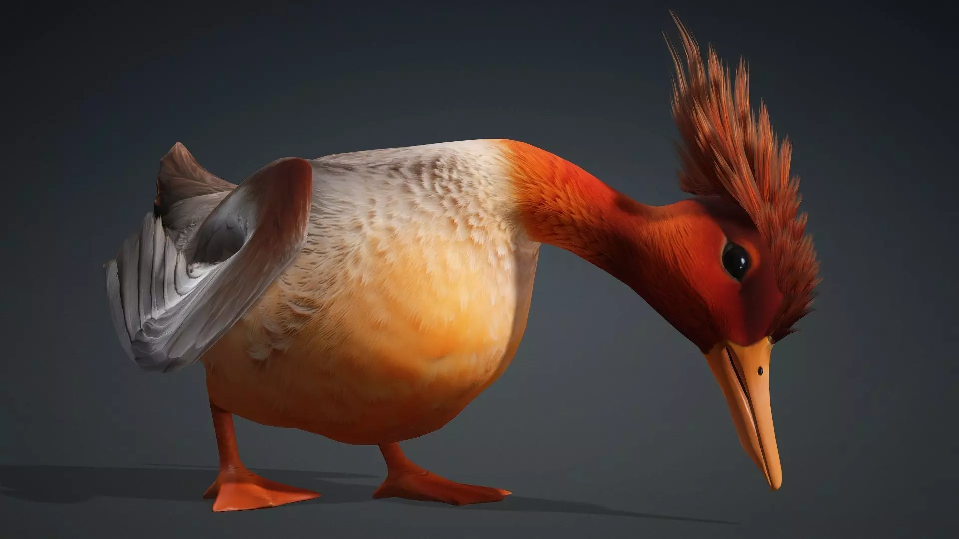 Duck-B4 3D model_17