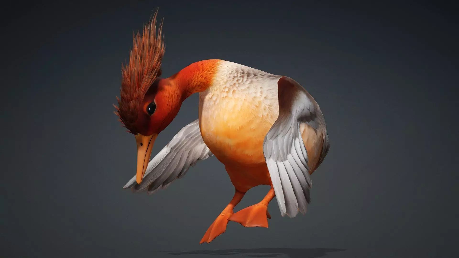 Duck-B4 3D model_5