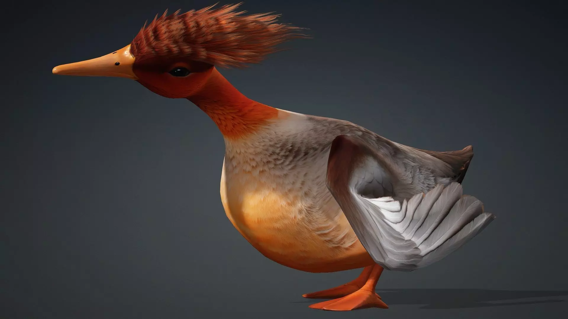 Duck-B4 3D model_14