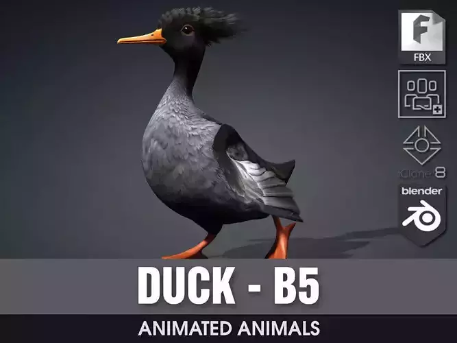 Duck-B5