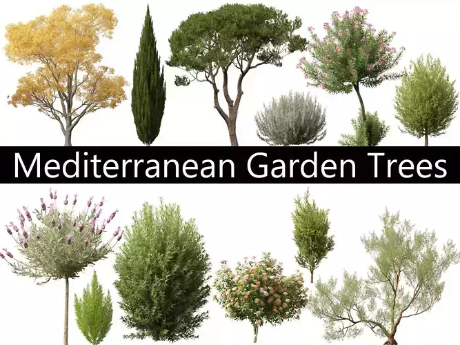 Mediterranean Garden Trees Pack 03