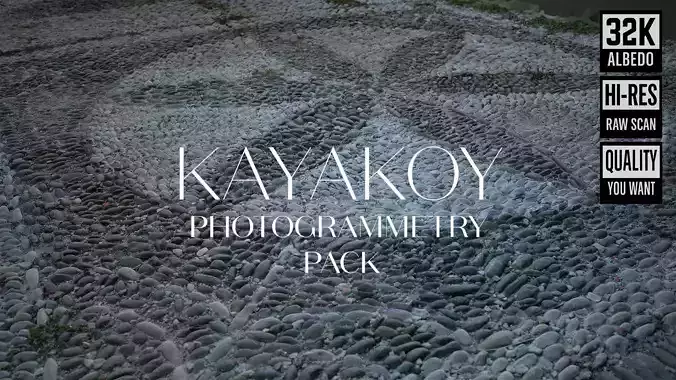 Abandoned Village Surface Scan - Pavement 03