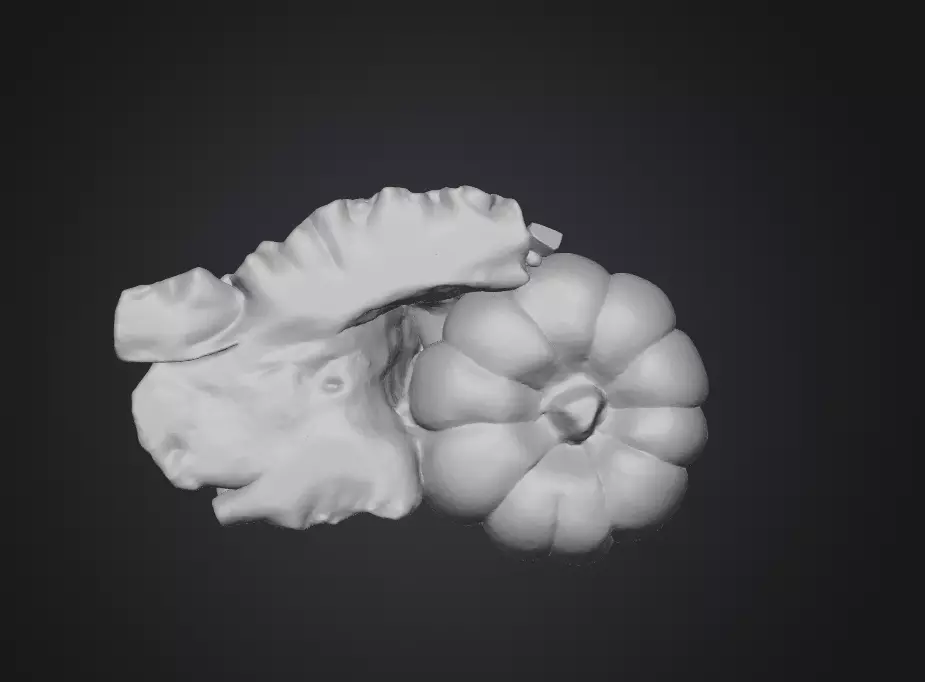 GirlyPOP Ghost 3D print model_6