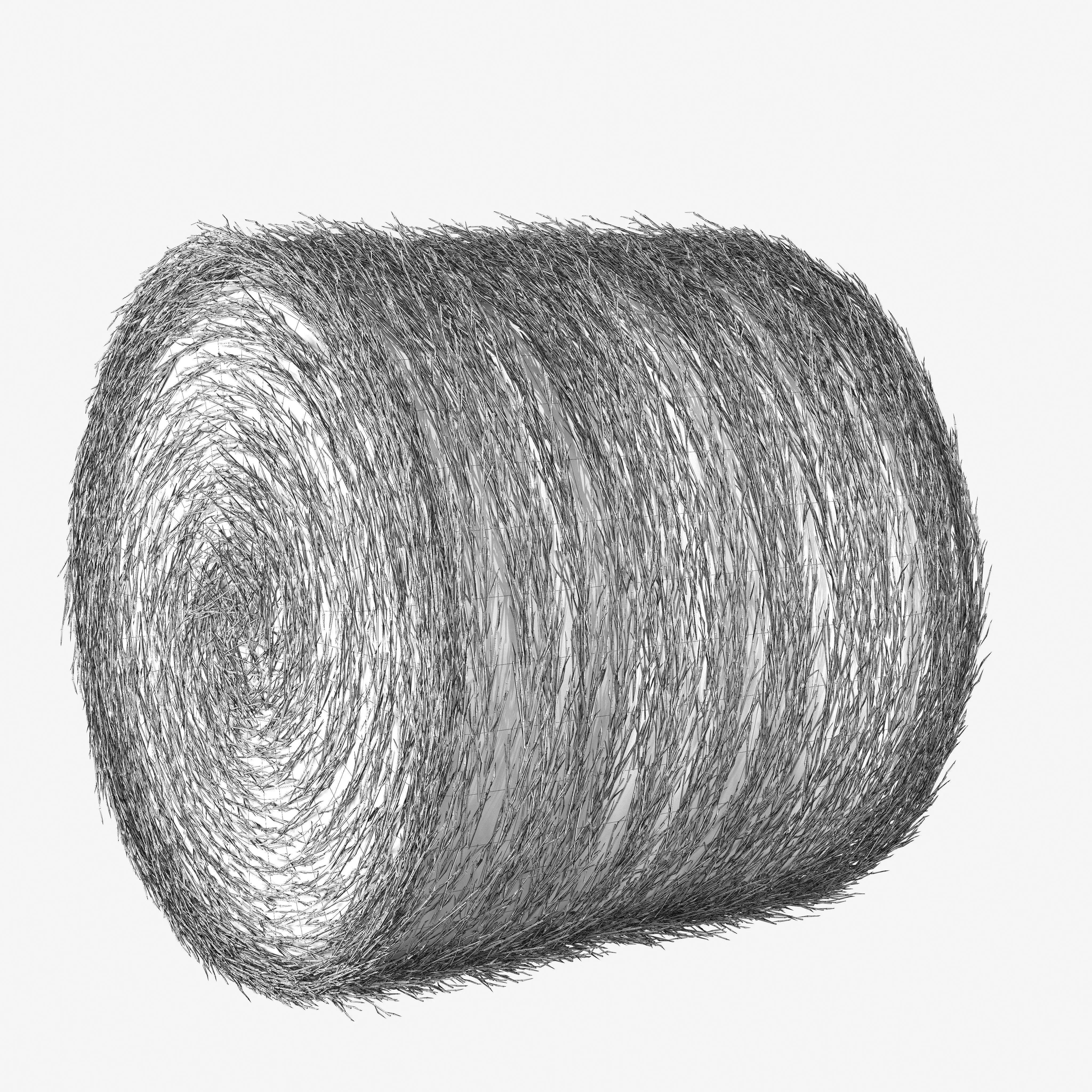 Realistic Roll bale of straw Low-poly 3D model_13