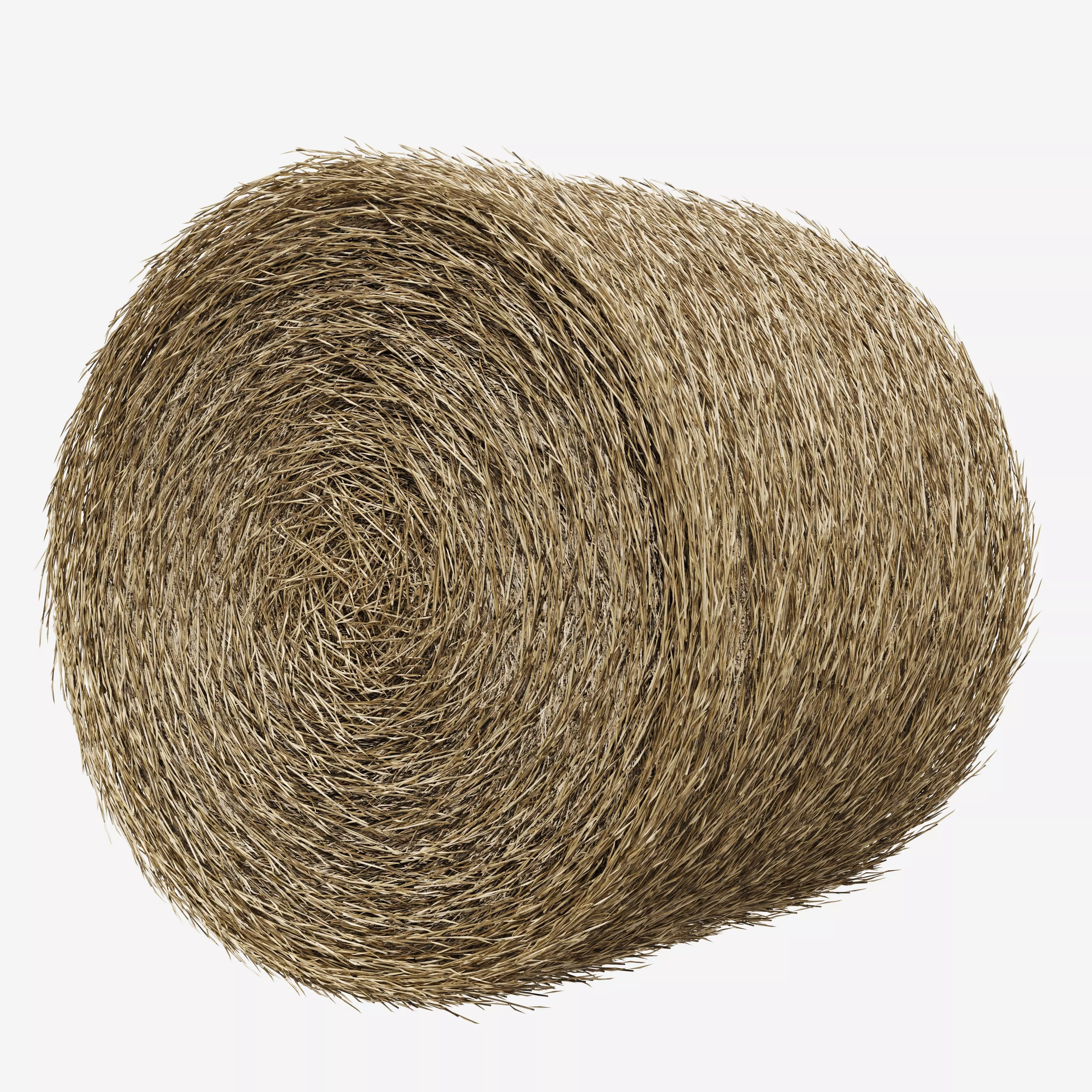 Realistic Roll bale of straw Low-poly 3D model_7