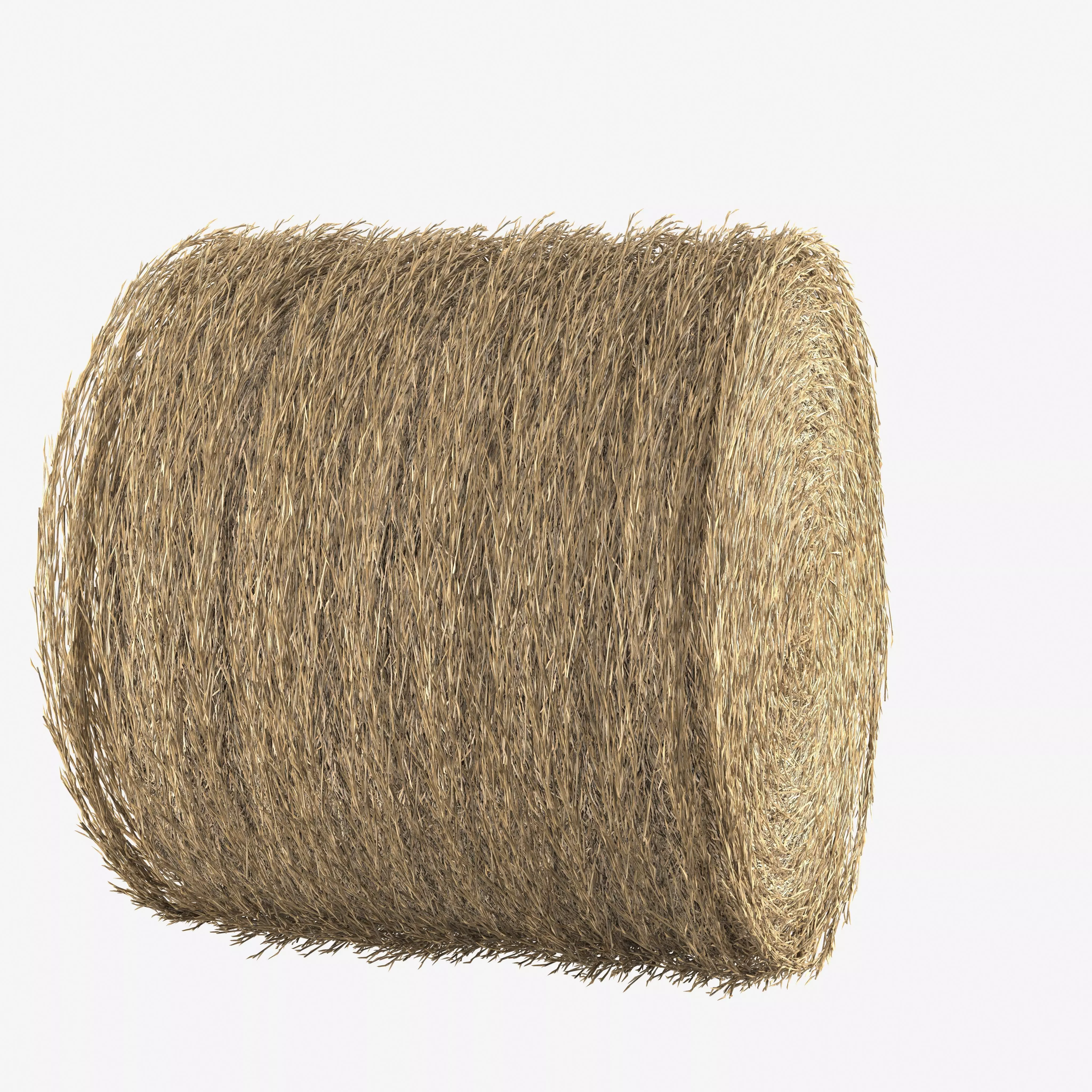 Realistic Roll bale of straw Low-poly 3D model_8