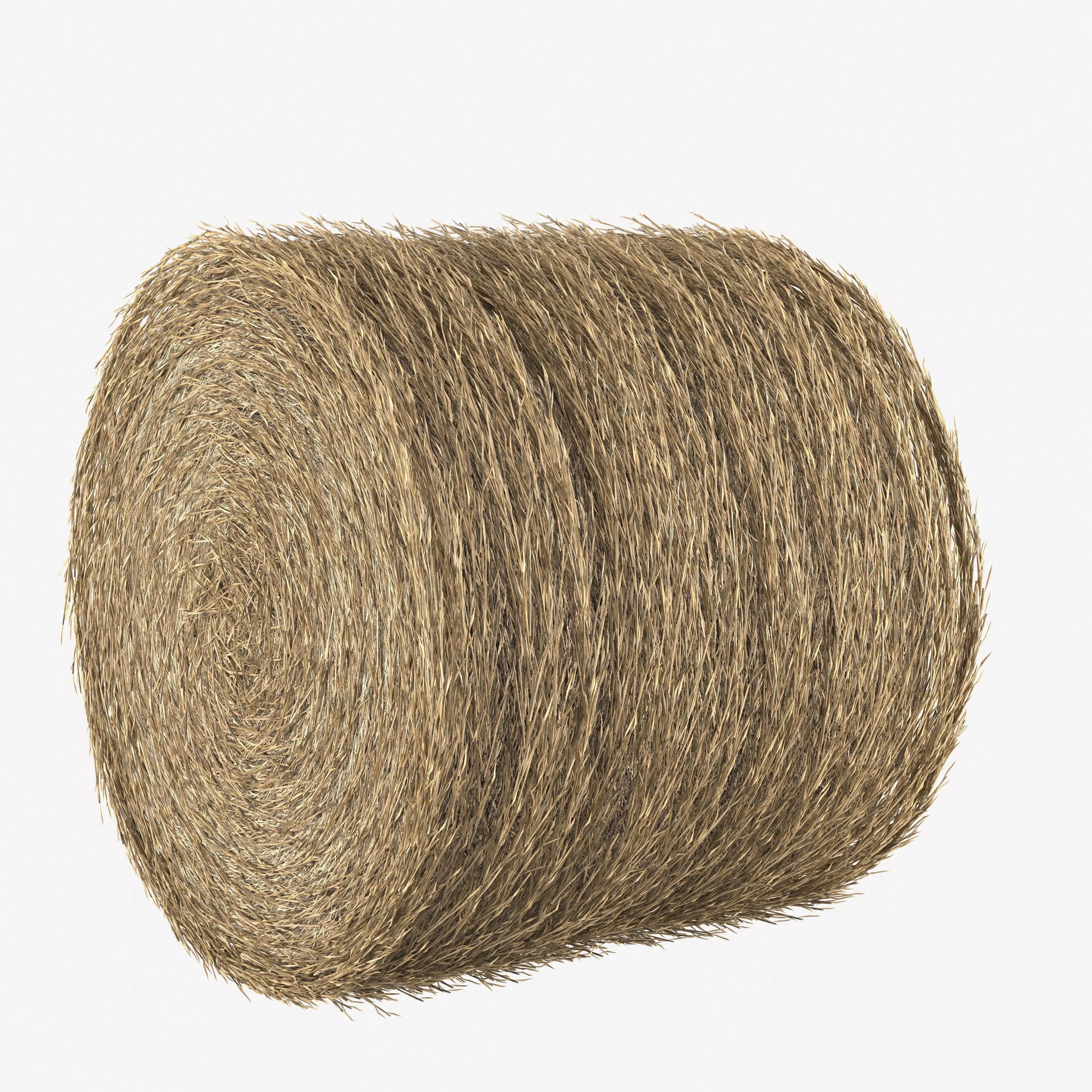 Realistic Roll bale of straw Low-poly 3D model_6