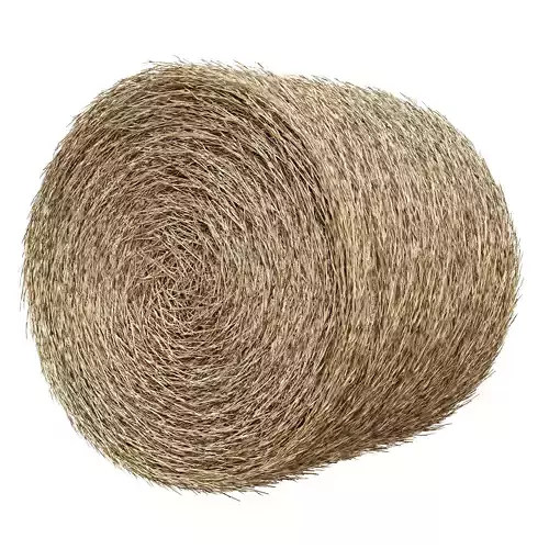 Realistic Roll bale of straw