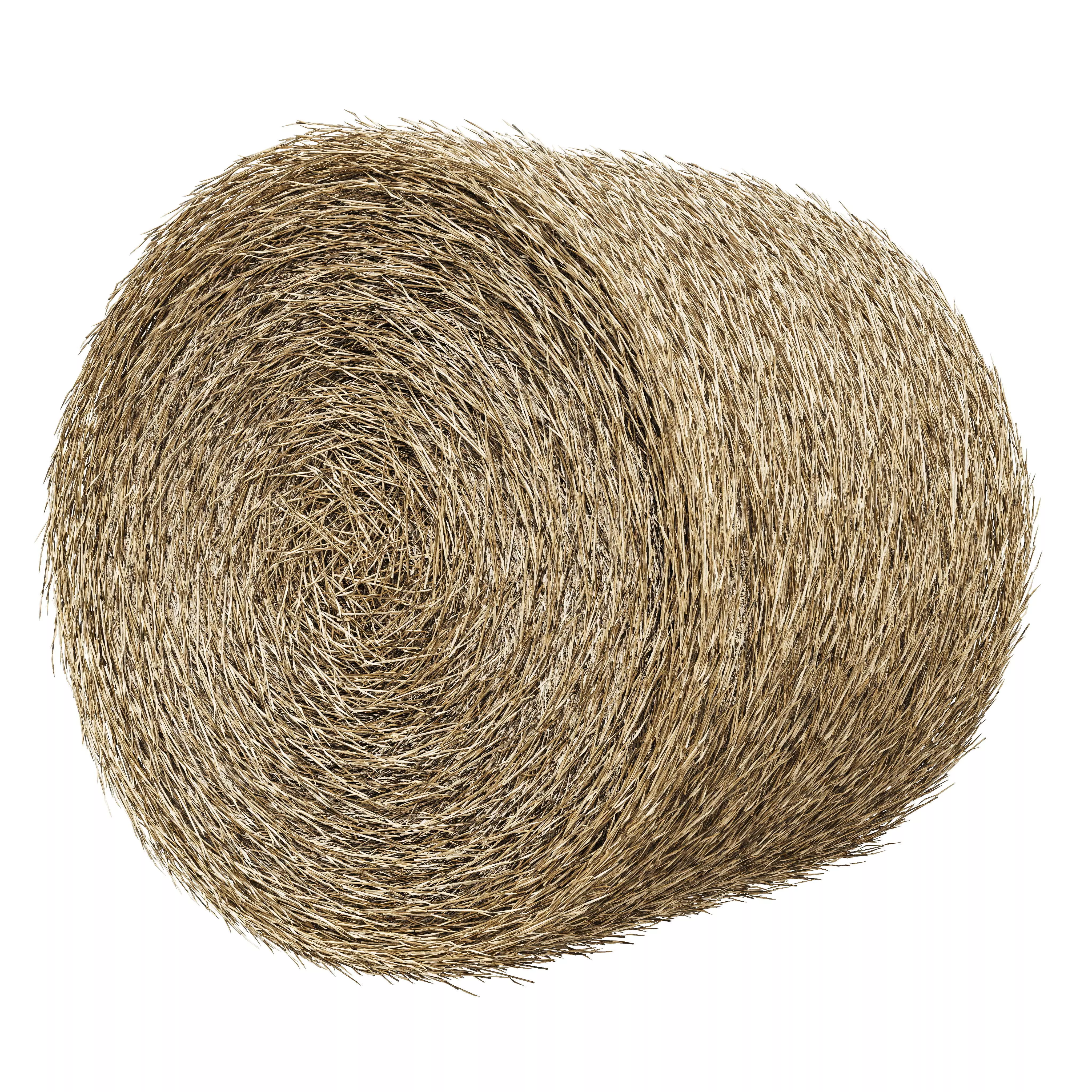 Realistic Roll bale of straw Low-poly 3D model_0