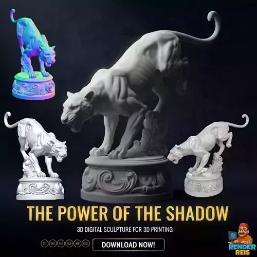 The Power of the Shadow Poised in Grace