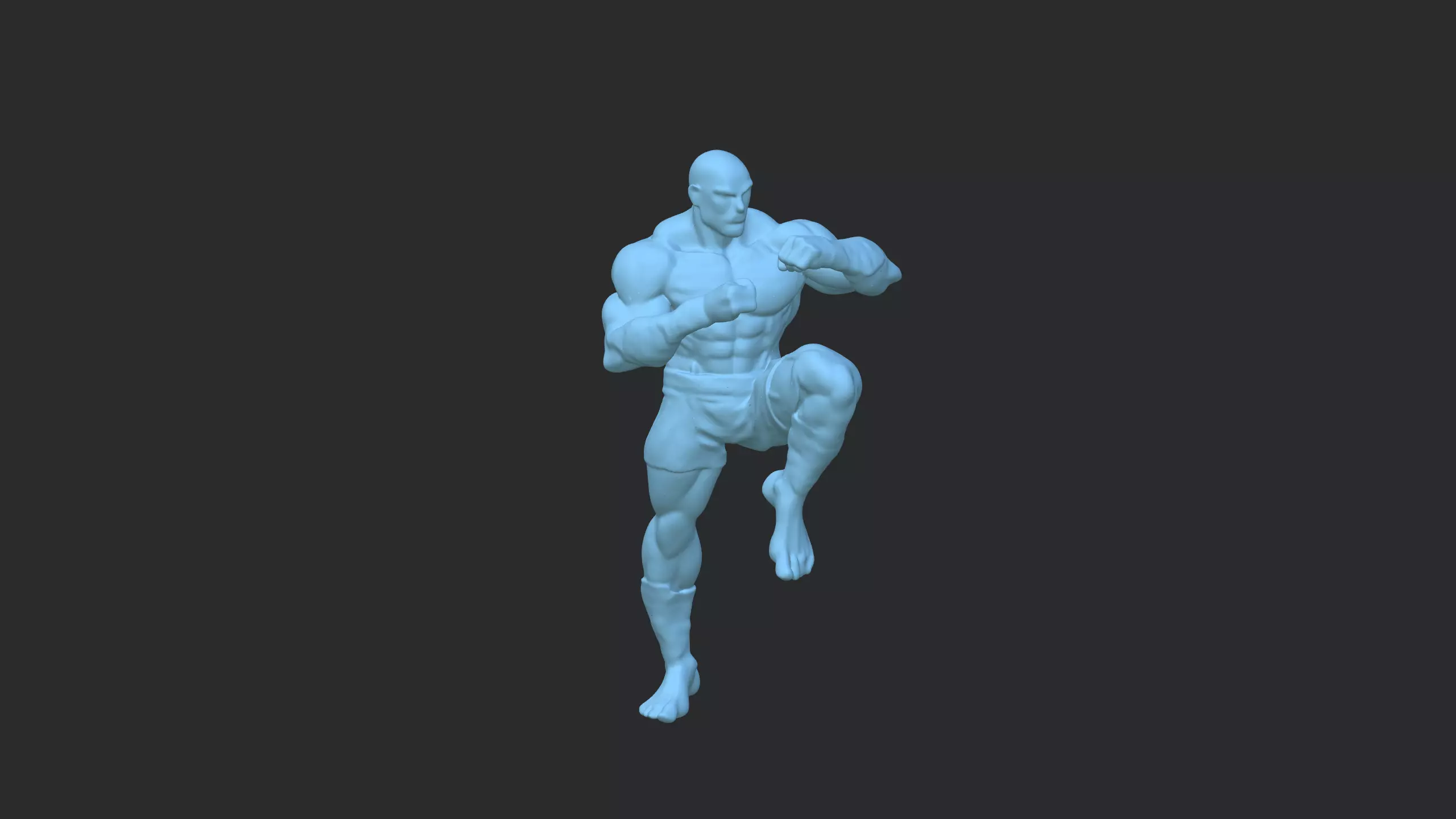 Muay Thai Fighter  3D Martial Arts Character Model 3D model_8