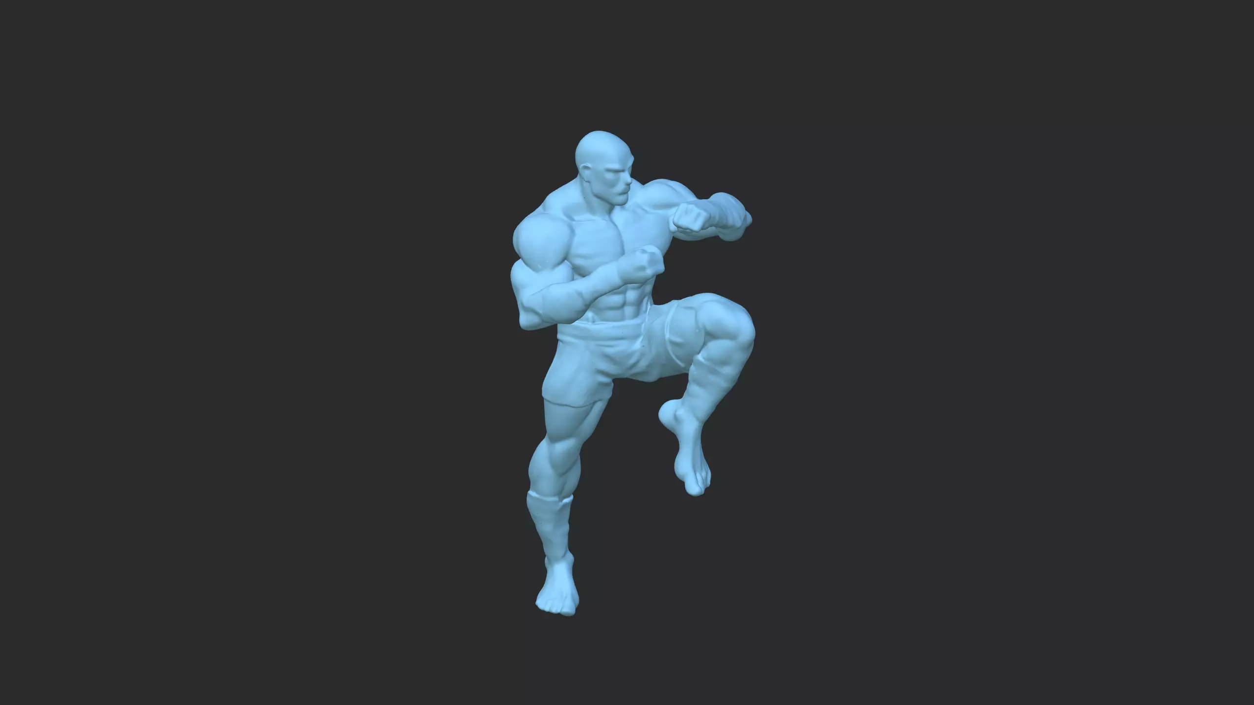Muay Thai Fighter  3D Martial Arts Character Model 3D model_9