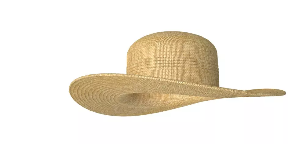 Hat Collection 3D model_18