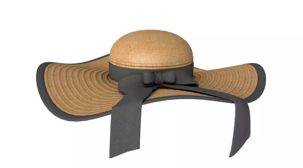 Hat Collection 3D model_1