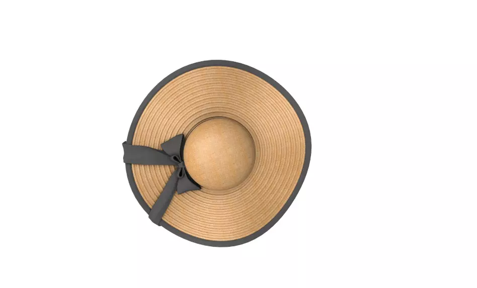 Hat Collection 3D model_19