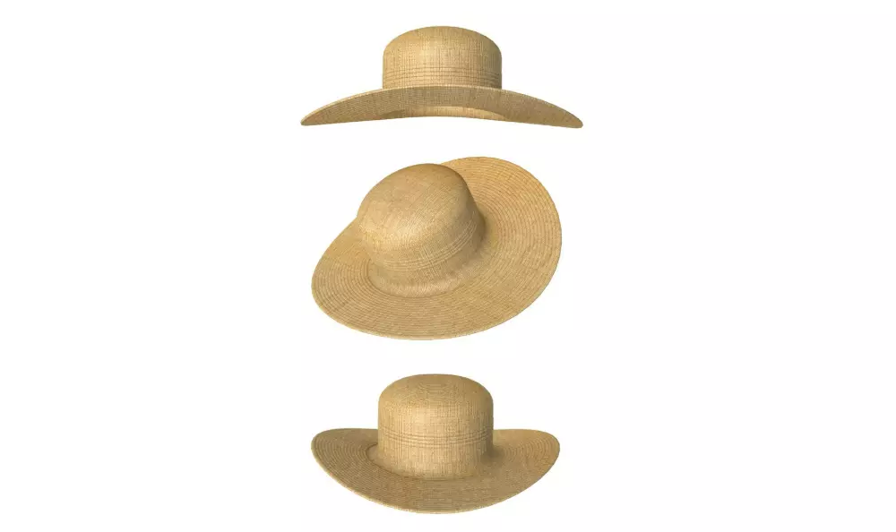 Hat Collection 3D model_8