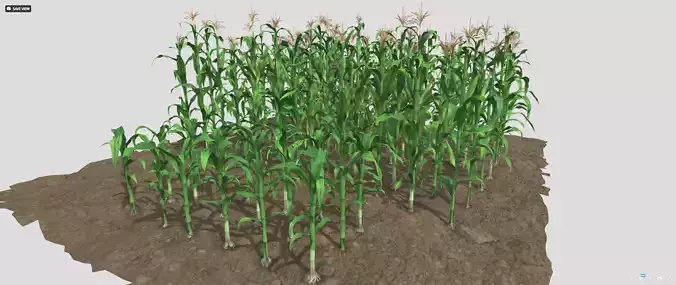 corn field for 3d printing