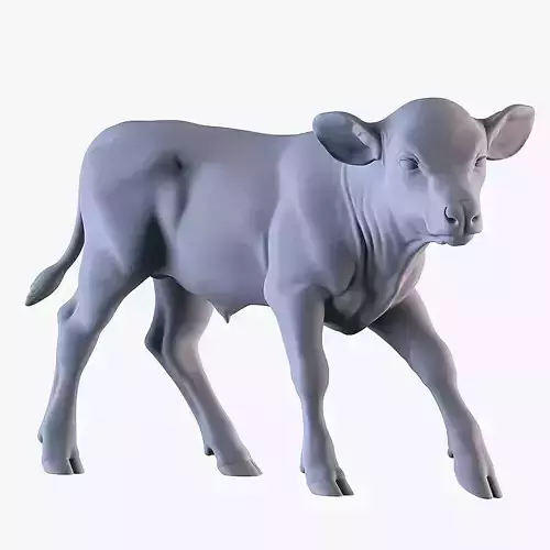 Calf Sculpture