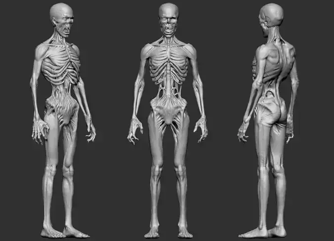 Zombie Creature High Poly 3D Model Basemesh