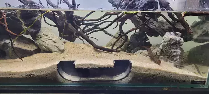 Tunel para peces 17B - acuario - fish tank