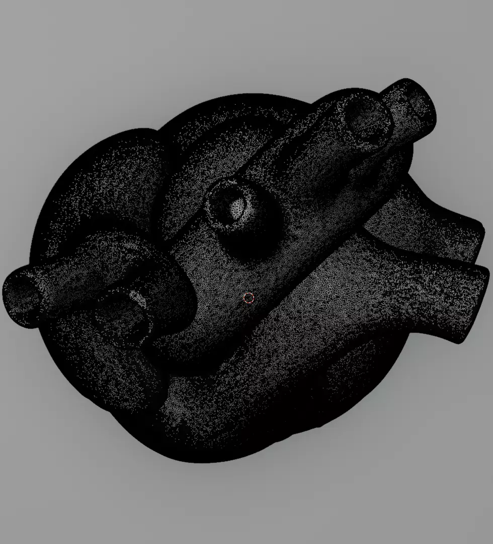 Human Heart 3D Model Realistic Anatomical Organ 3D model_12