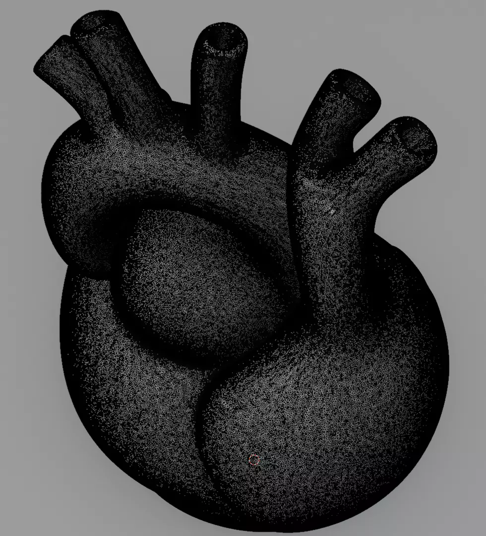 Human Heart 3D Model Realistic Anatomical Organ 3D model_16