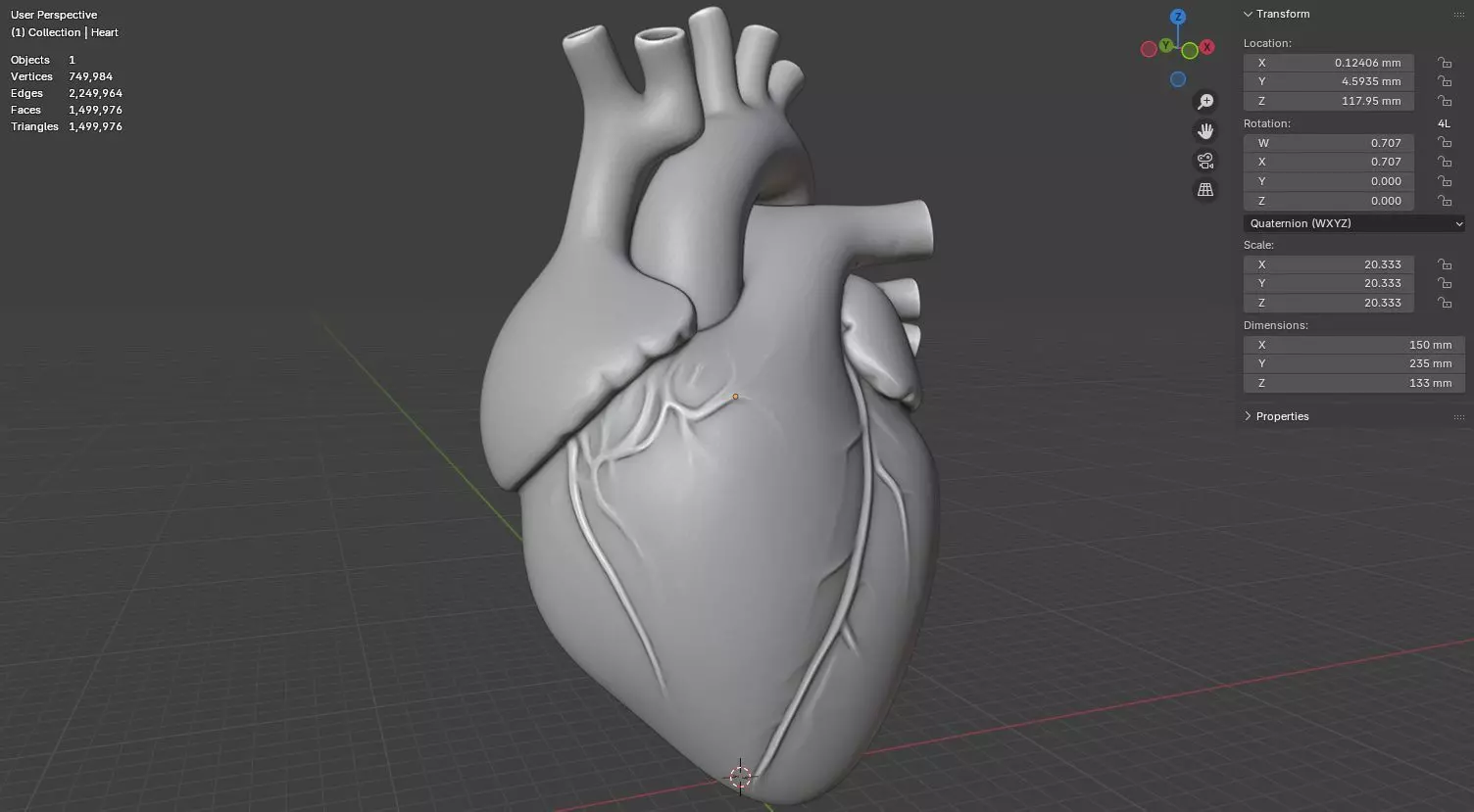 Human Heart 3D Model Realistic Anatomical Organ 3D model_20