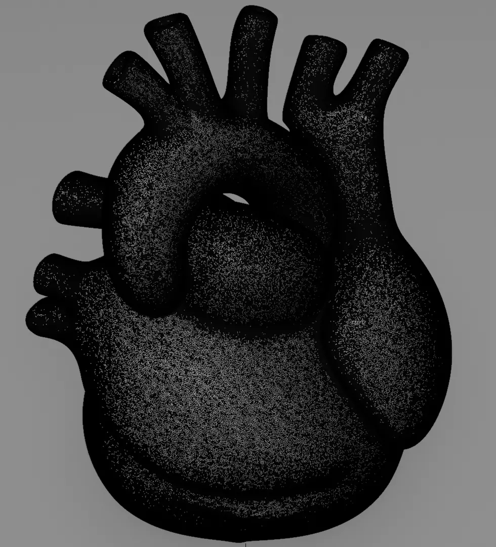 Human Heart 3D Model Realistic Anatomical Organ 3D model_15