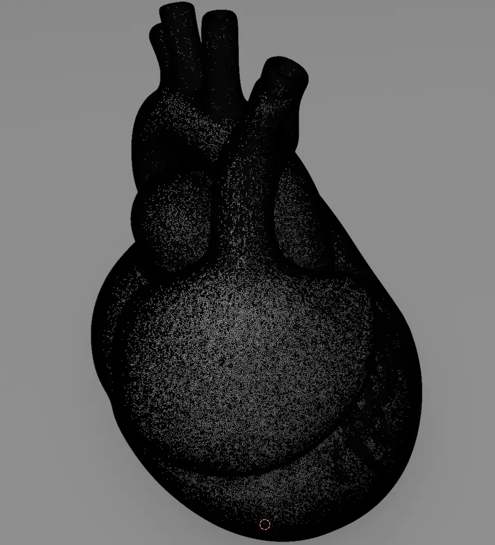 Human Heart 3D Model Realistic Anatomical Organ 3D model_13