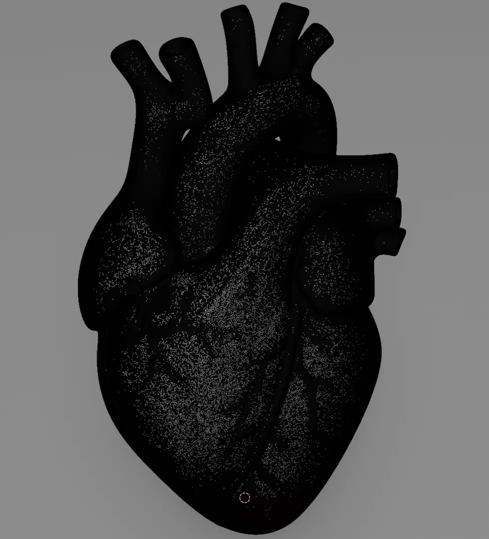 Human Heart 3D Model Realistic Anatomical Organ 3D model_11