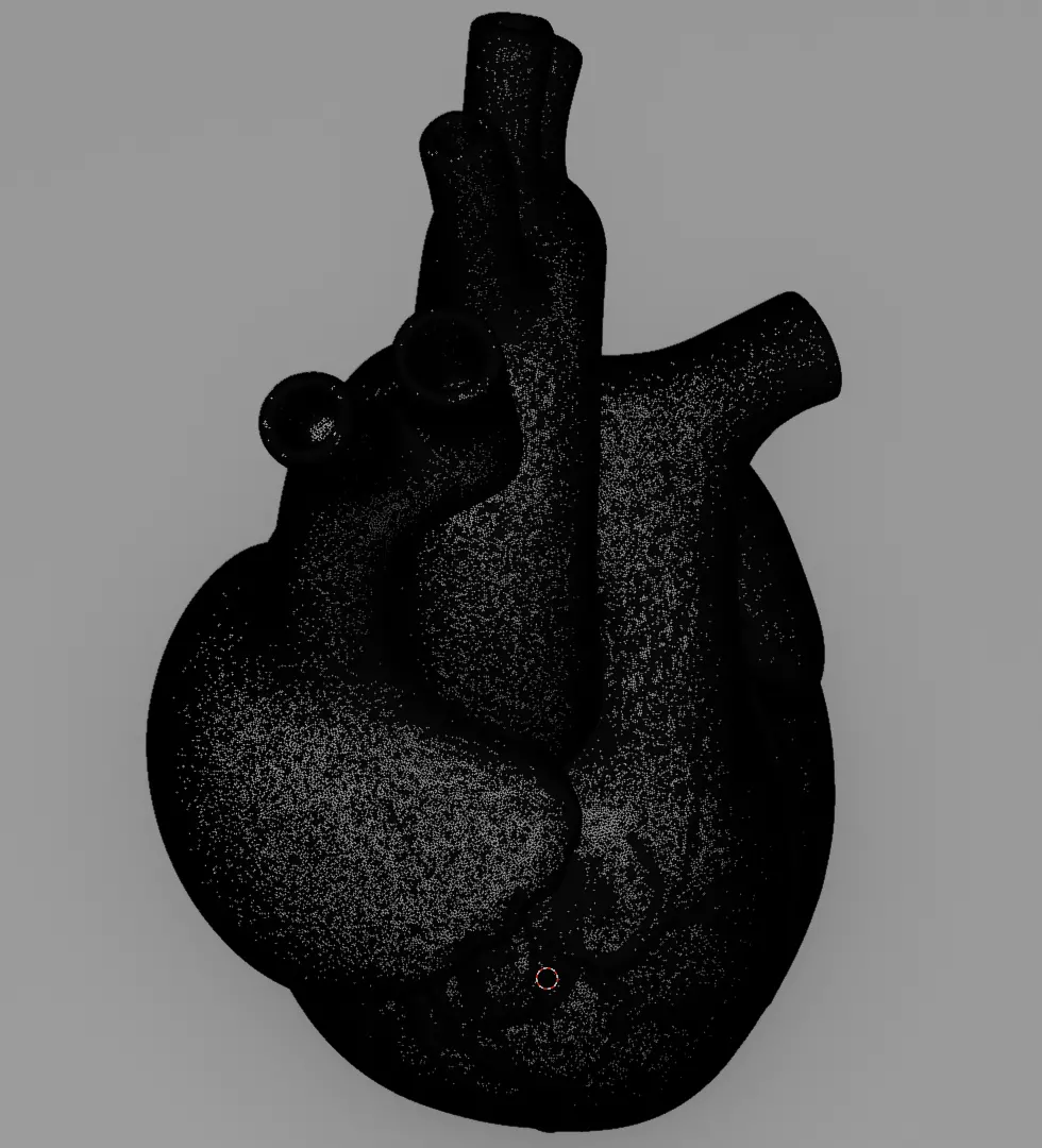 Human Heart 3D Model Realistic Anatomical Organ 3D model_17