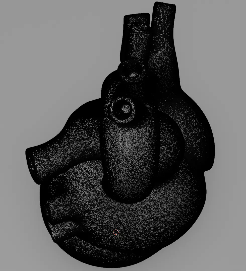 Human Heart 3D Model Realistic Anatomical Organ 3D model_19