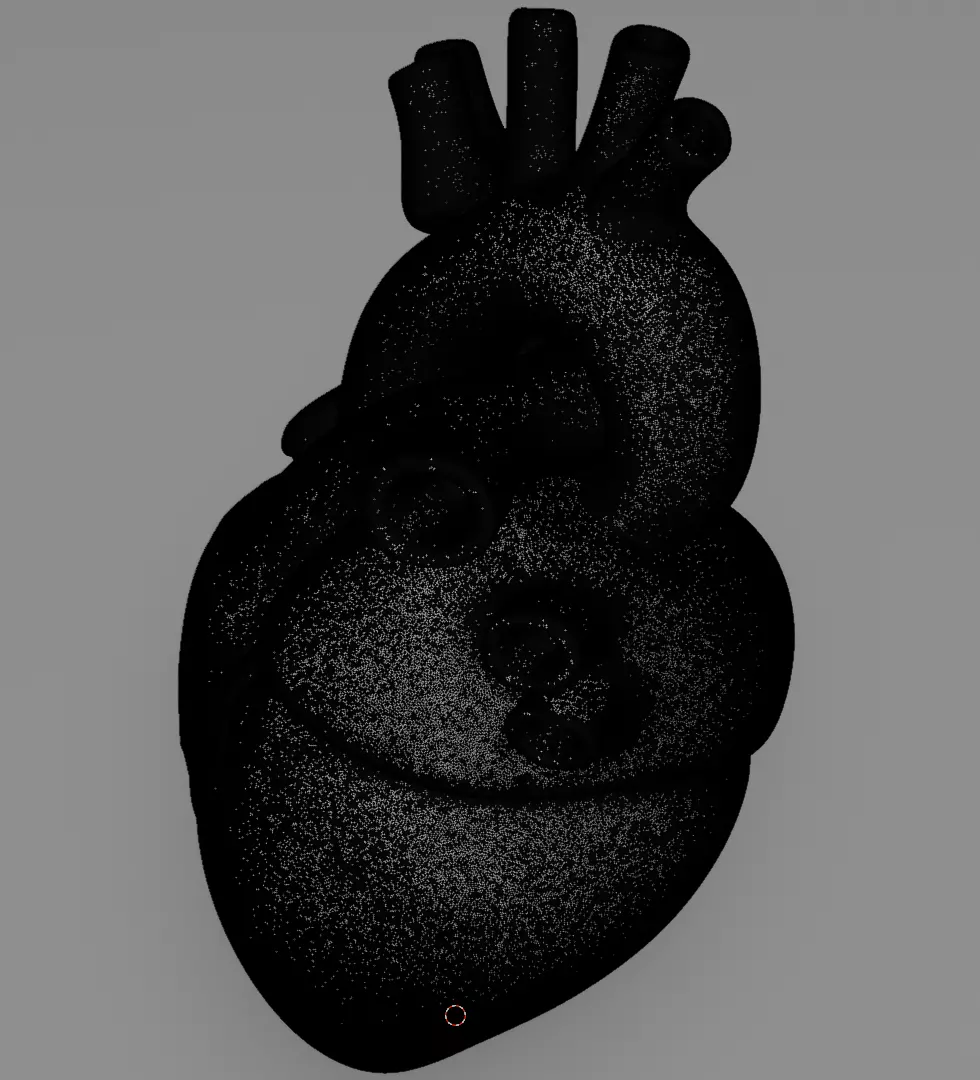 Human Heart 3D Model Realistic Anatomical Organ 3D model_14