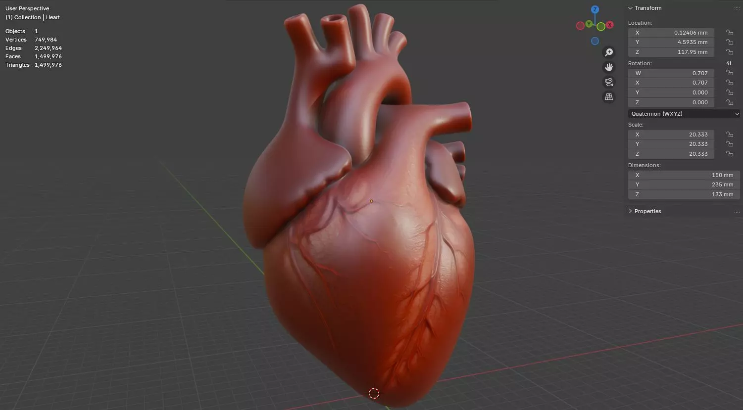 Human Heart 3D Model Realistic Anatomical Organ 3D model_21