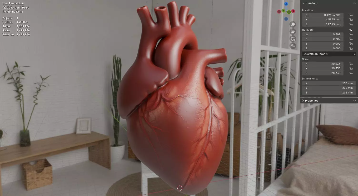 Human Heart 3D Model Realistic Anatomical Organ 3D model_22