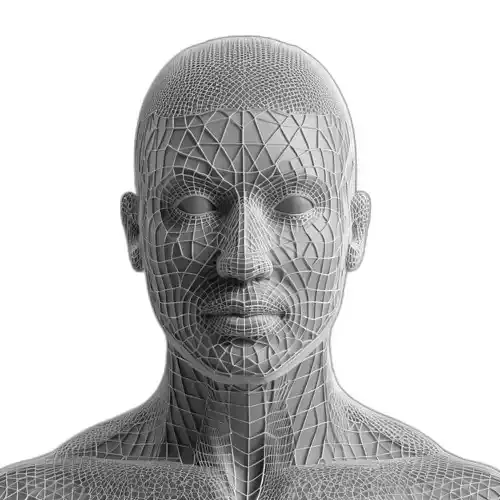 Digital Human Male Head Wireframe Low-poly 3D model