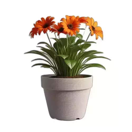 Vibrant Orange Potted Flower