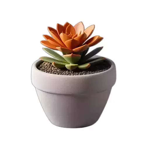 Realistic Potted Orange Succulent