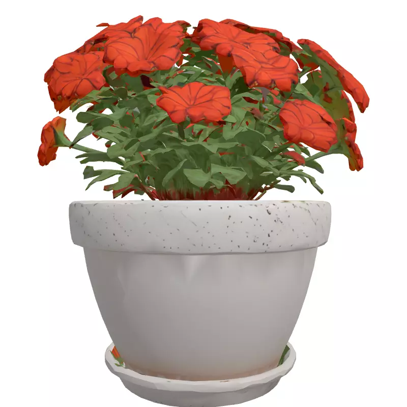 Potted Orange Flower Plant 3D Low-poly 3D model_4
