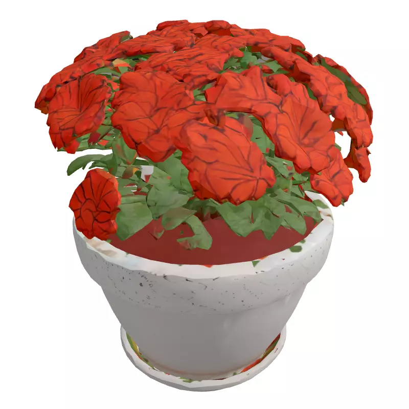 Potted Orange Flower Plant 3D Low-poly 3D model_3