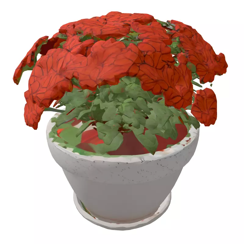 Potted Orange Flower Plant 3D Low-poly 3D model_5