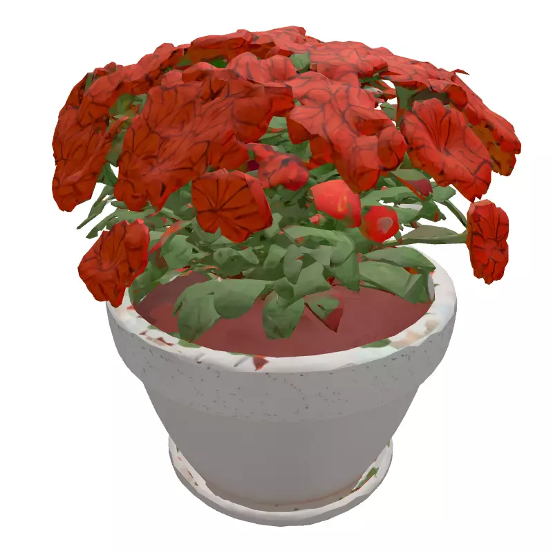 Potted Orange Flower Plant 3D Low-poly 3D model_6