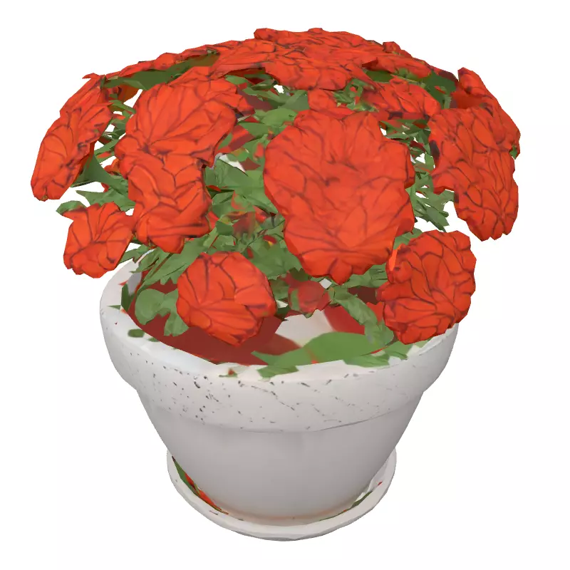 Potted Orange Flower Plant 3D Low-poly 3D model_2