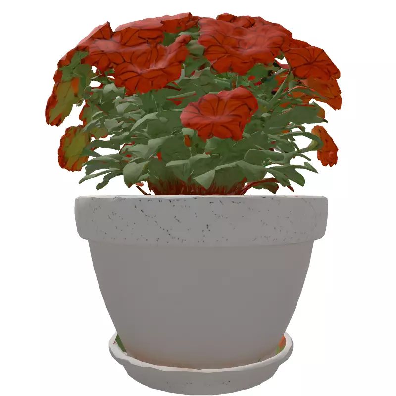 Potted Orange Flower Plant 3D Low-poly 3D model_7