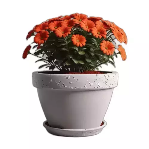 Potted Orange Flower Plant 3D