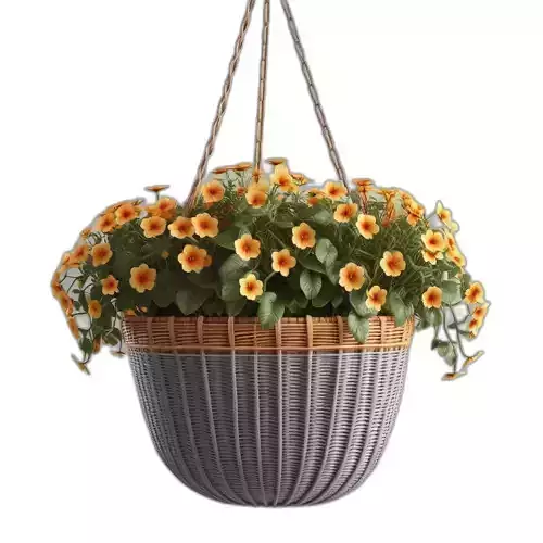 Hanging Basket with Orange Flowers