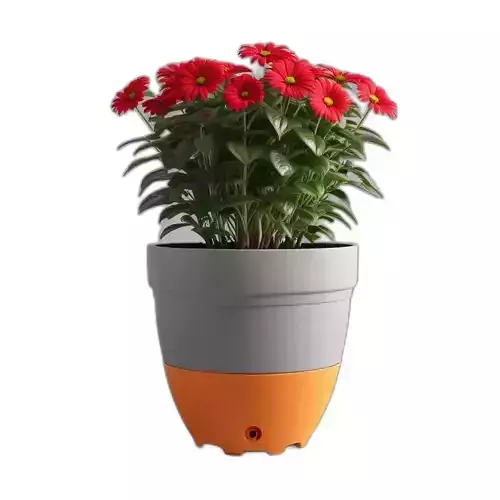 Decorative Potted Red Gerbera Daisies